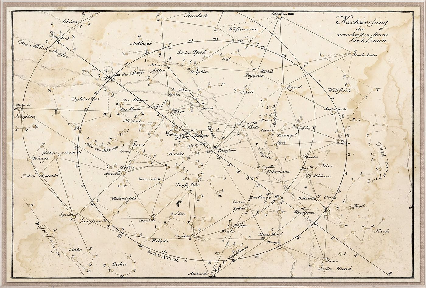 Natural Curiosities Dorali Celestial Art Print