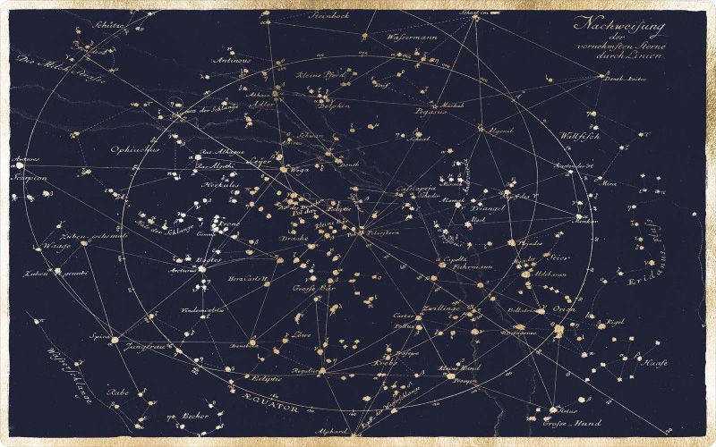 Natural Curiosities Dorali Blue