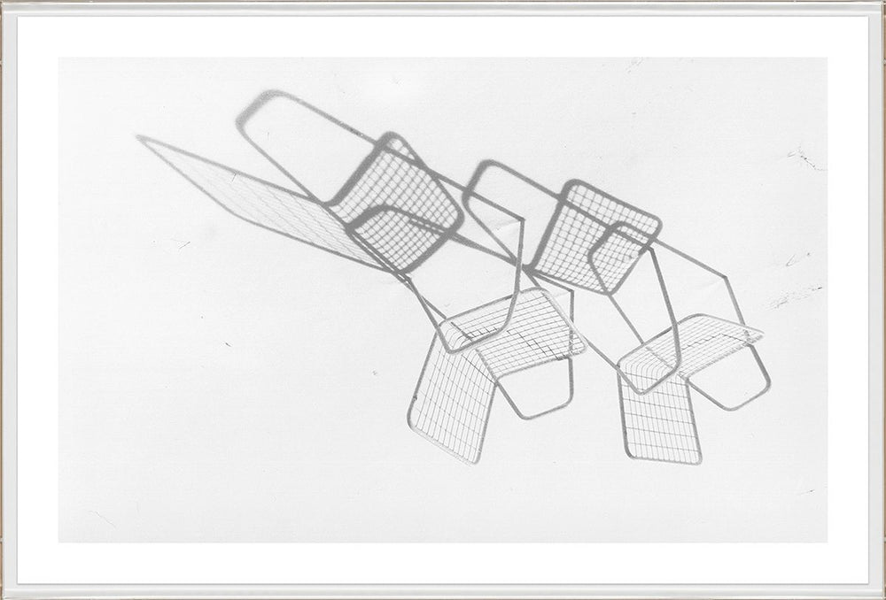 David Ritchie Collection Art by Natural Curiosities