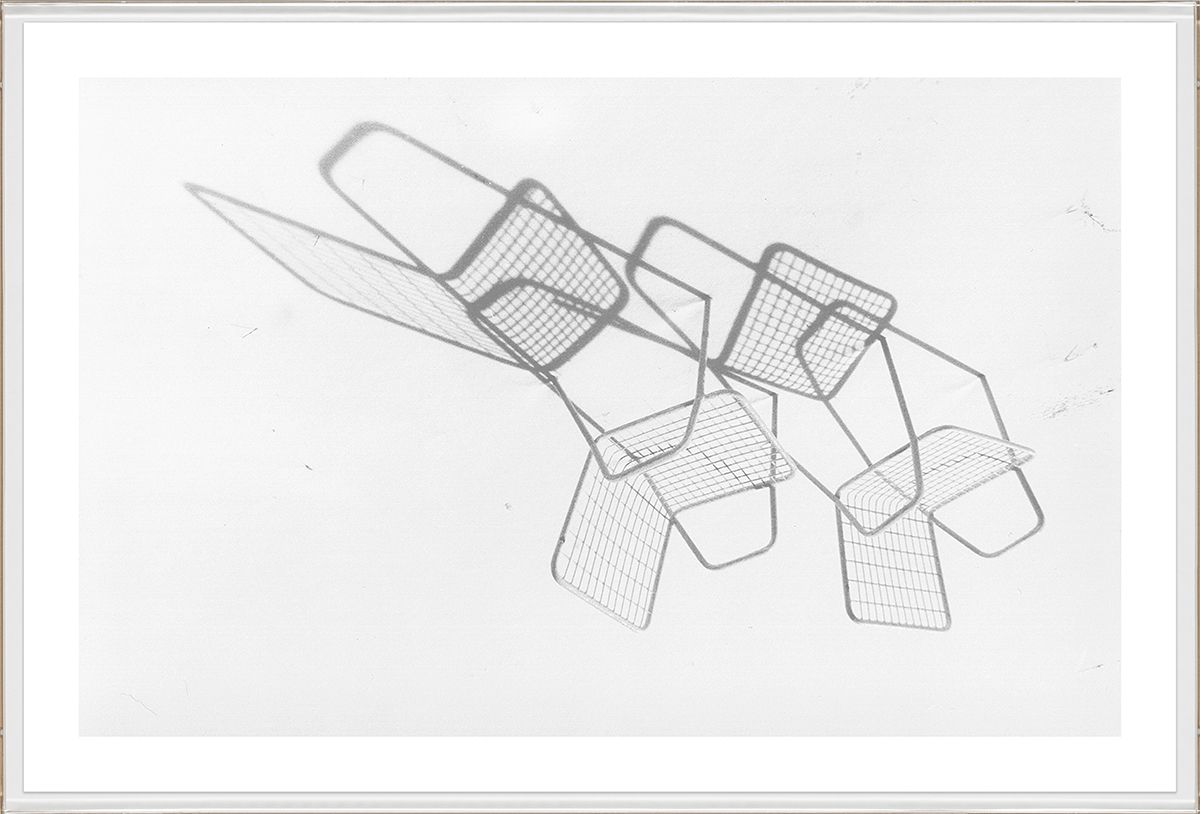 David Ritchie Collection Art by Natural Curiosities