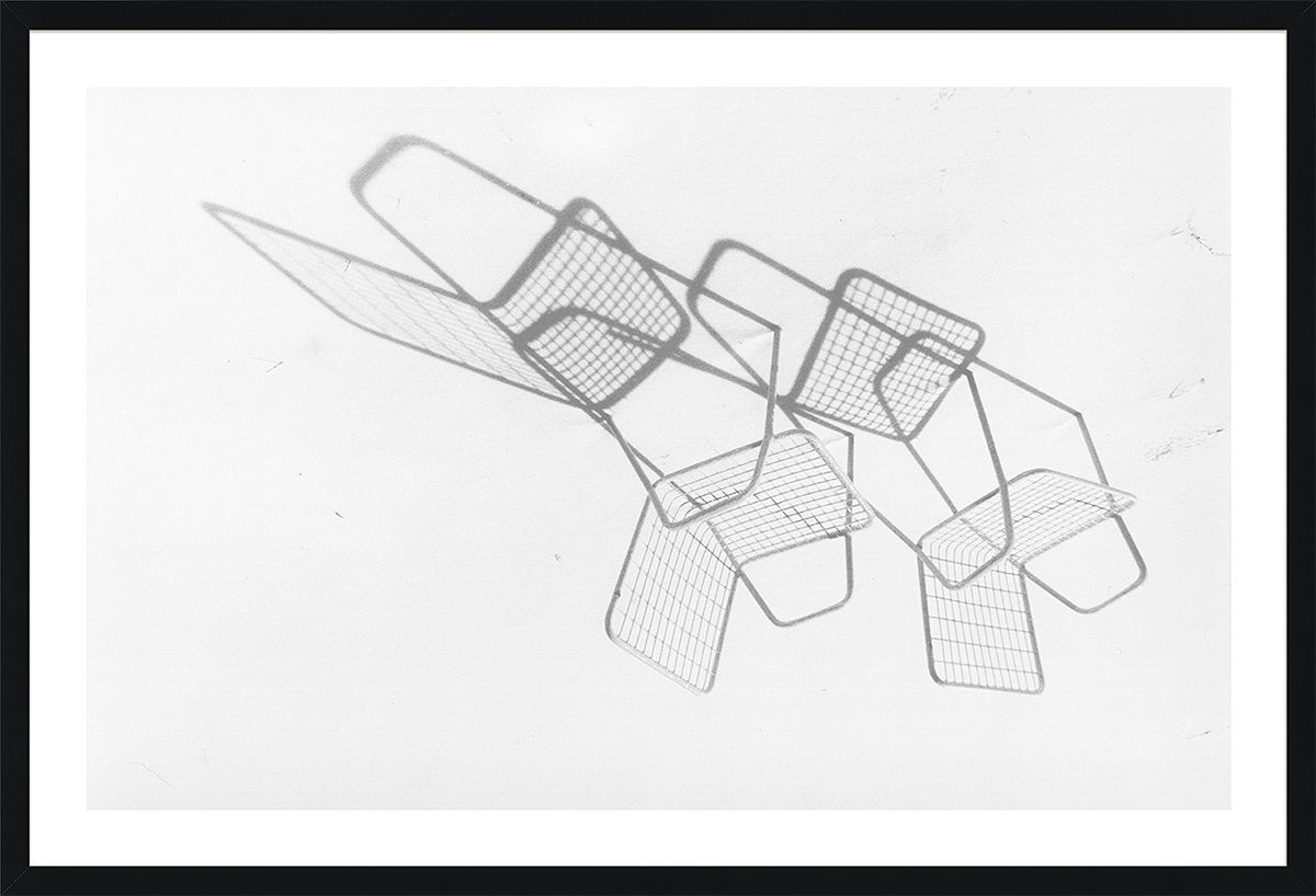 David Ritchie Collection Art by Natural Curiosities