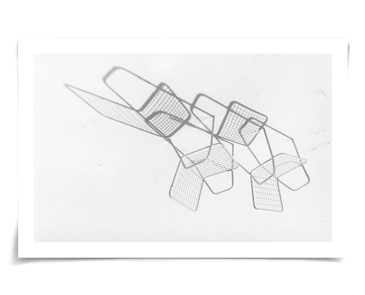 David Ritchie Collection Art by Natural Curiosities