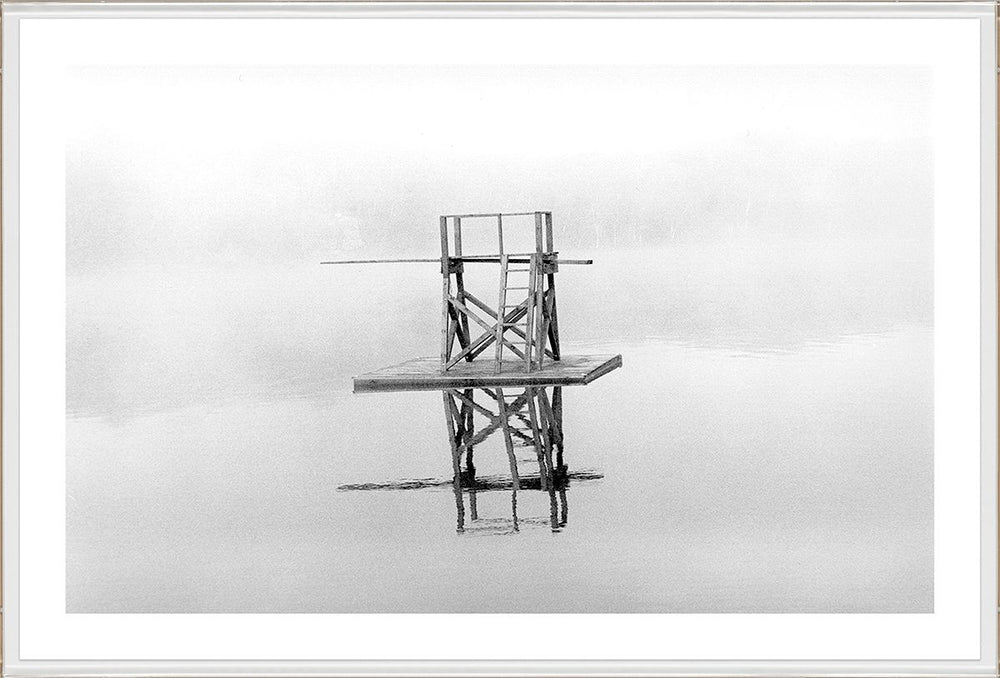 David Ritchie Diving Platform Art Print by Natural Curiosities