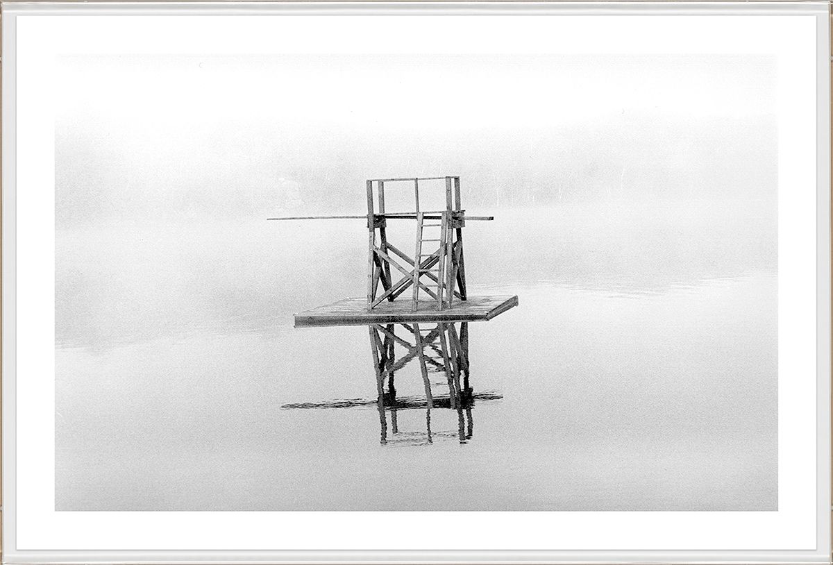 David Ritchie Diving Platform Art Print by Natural Curiosities