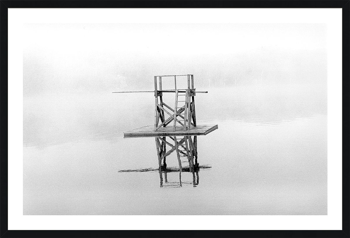 David Ritchie Diving Platform Art Print by Natural Curiosities