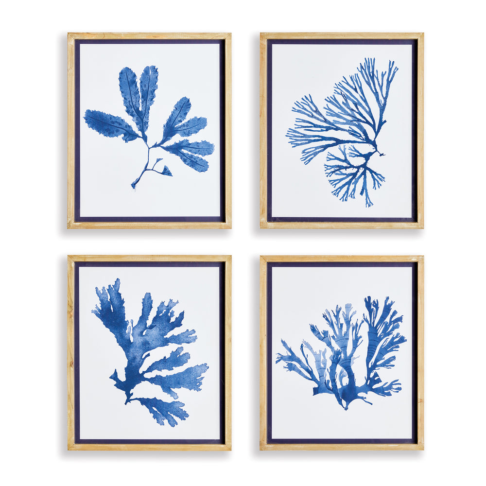 Napa Home And Garden Indigo Seaweed Prints St/4