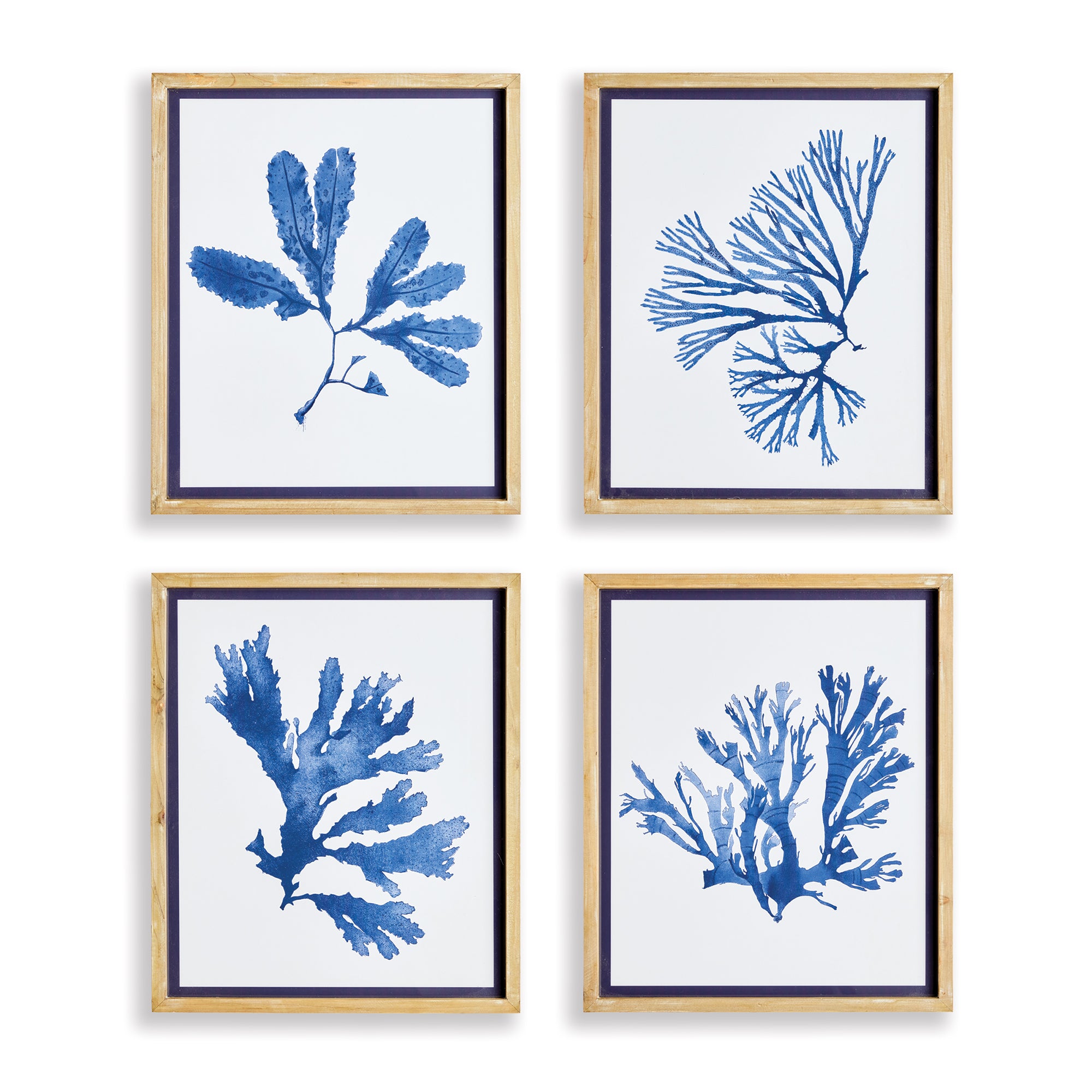 Napa Home And Garden Indigo Seaweed Prints St/4