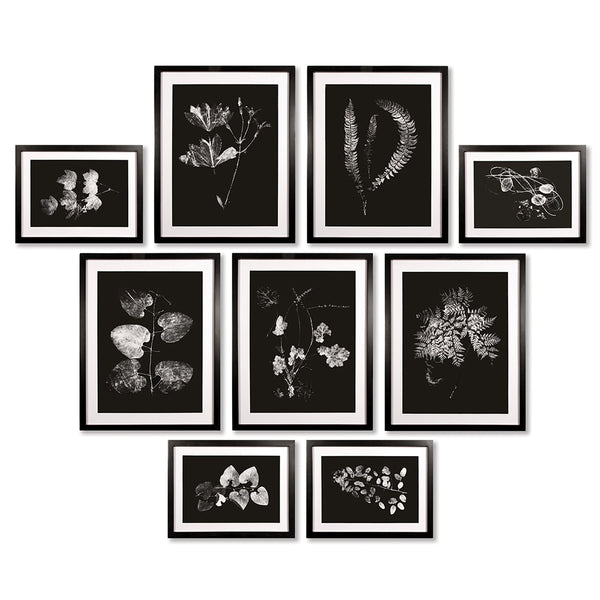 Napa Home And Garden X Ray Leaf Study Gallery, Set Of 9