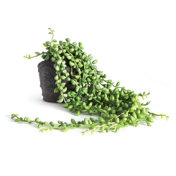 Napa Home And Garden String Of Pearls Drop In 26"