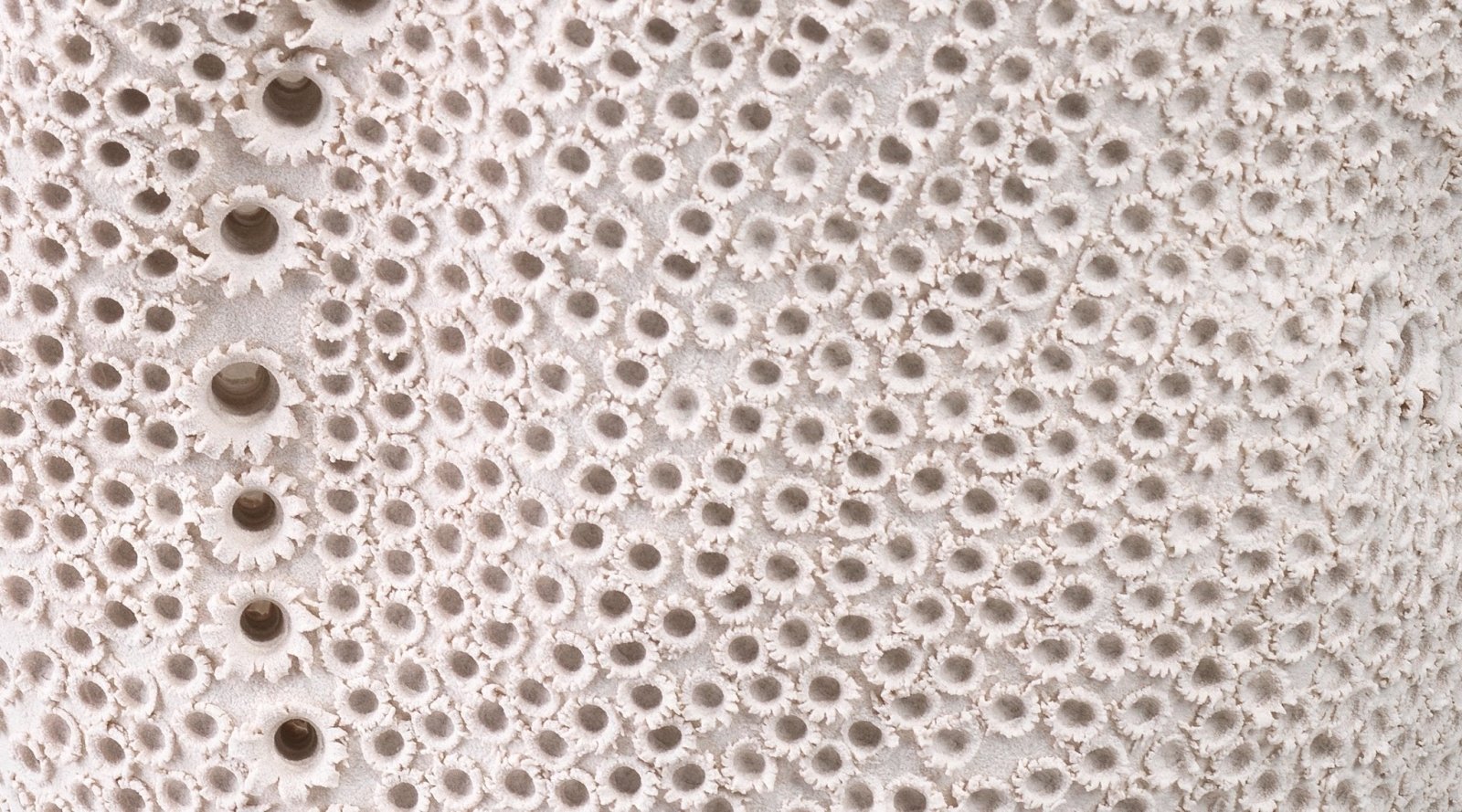 Jamie Young Eclipse Vase