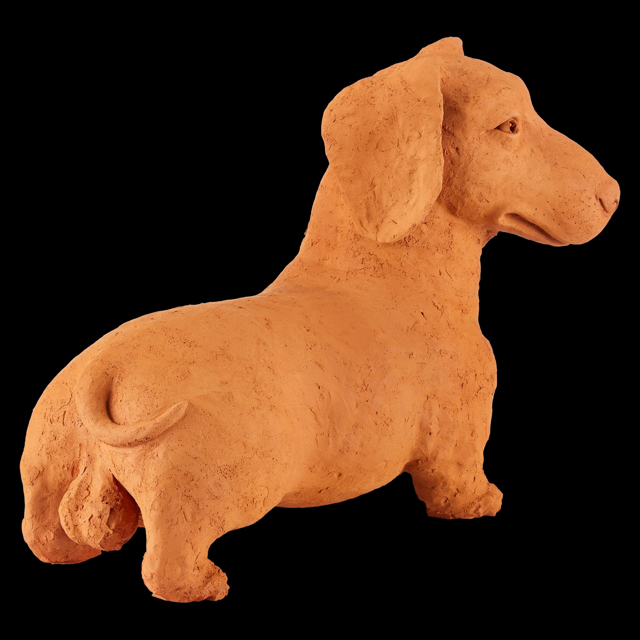 Currey & Company 15.75" Terracotta Rocky The Teckel