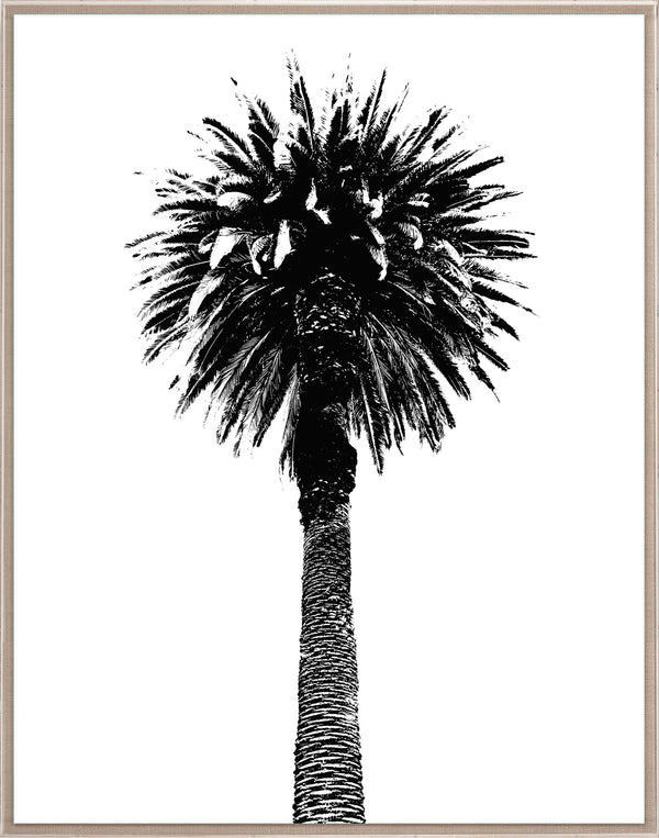 Natural Curiosities Elysian Palm Art