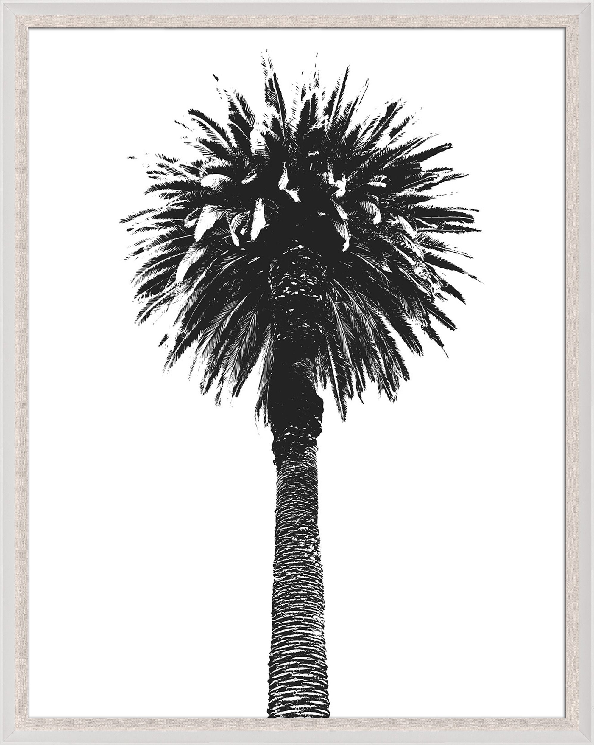 Natural Curiosities Elysian Palm Art