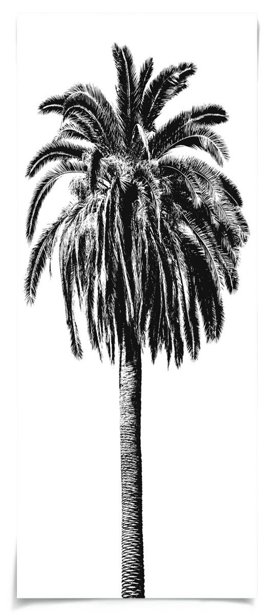 Natural Curiosities Elysian Palm Panel 2