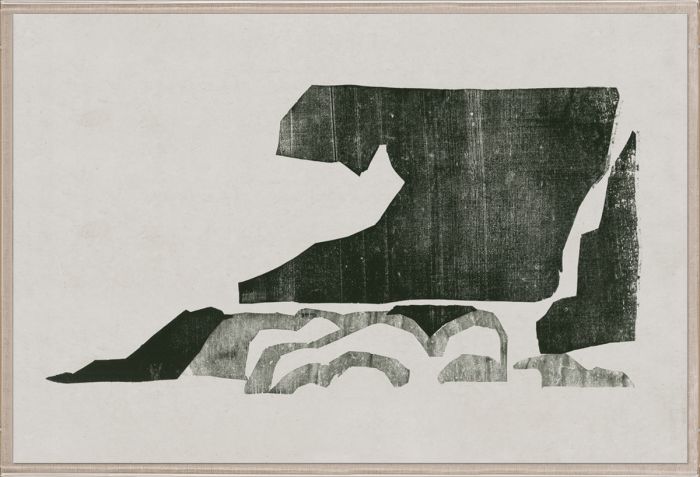 Natural Curiosities Evi Collection Art