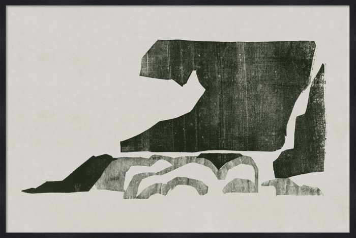 Natural Curiosities Evi Collection Art