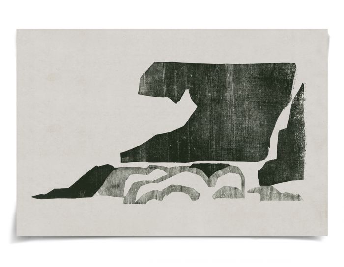 Natural Curiosities Evi Collection Art