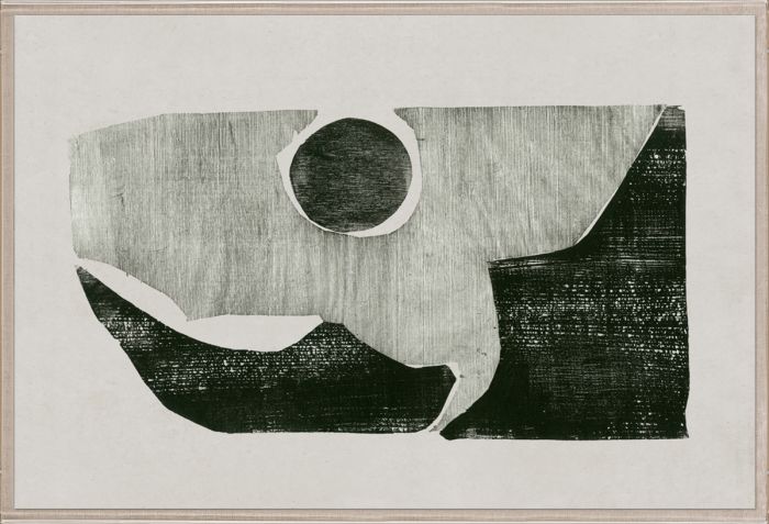 Natural Curiosities The Evi Collection Art