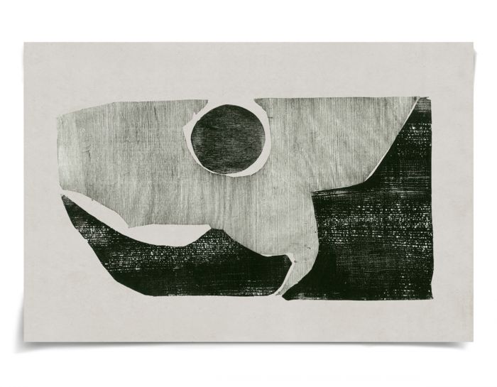 Natural Curiosities Evi Collection Art