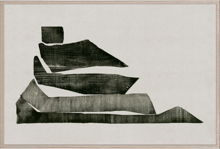 Natural Curiosities Evi Collection Art