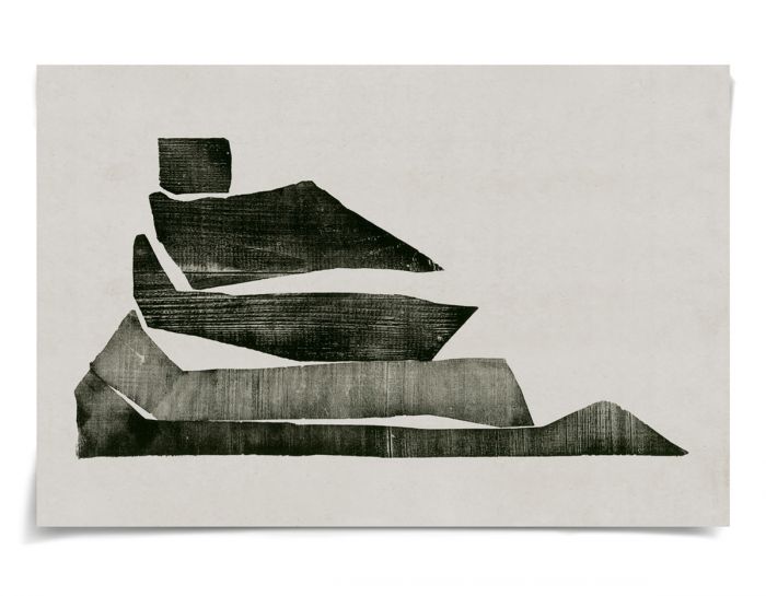 Natural Curiosities The Evi Collection Art