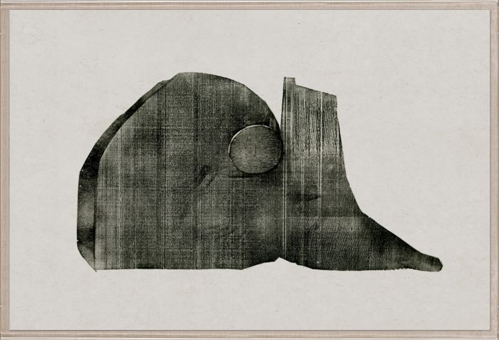 Natural Curiosities The Evi Collection Art