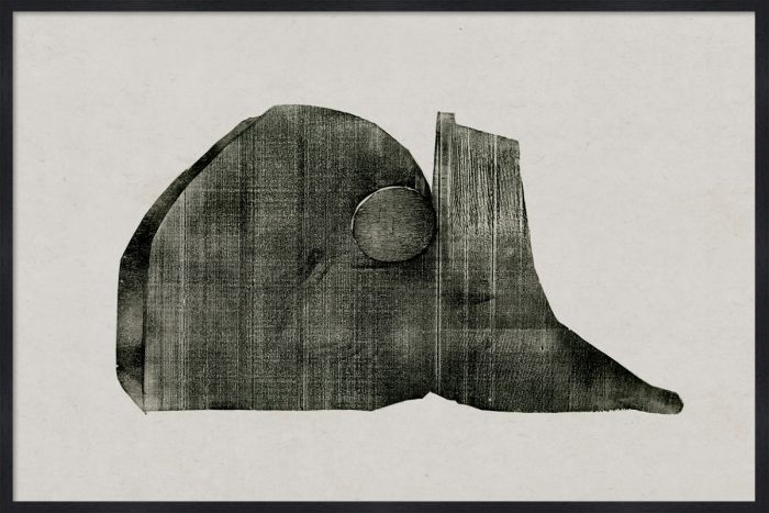 Natural Curiosities The Evi Collection Art