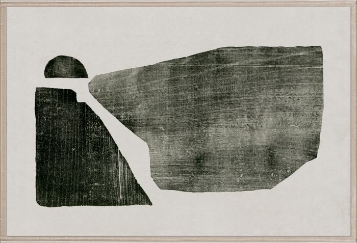 Natural Curiosities Evi Collection Art