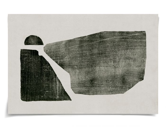 Natural Curiosities The Evi Collection Art