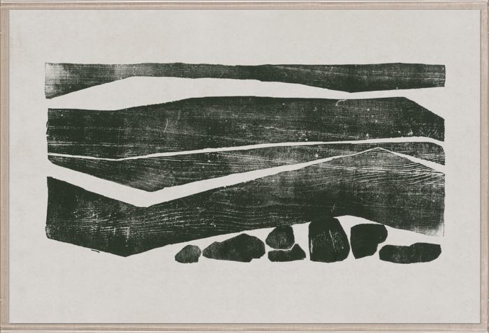 Natural Curiosities Evi Collection Art