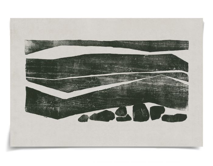 Natural Curiosities The Evi Collection Art