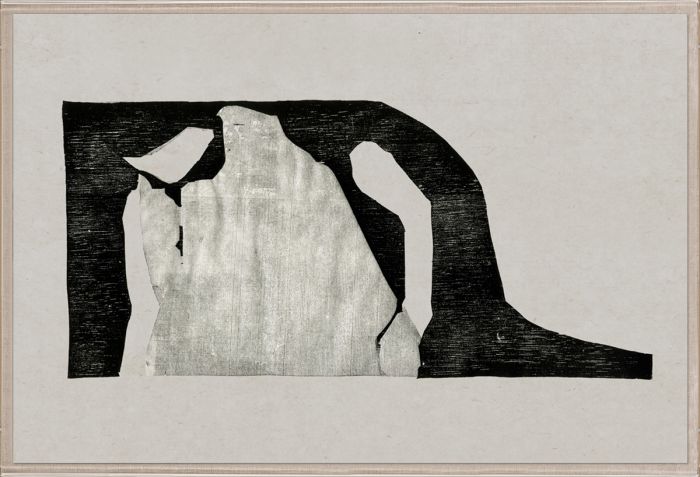 Natural Curiosities Evi Collection Art