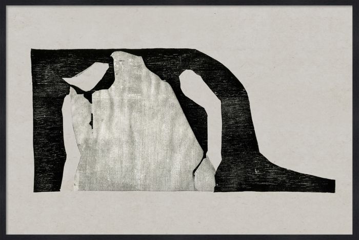 Natural Curiosities The Evi Collection Art