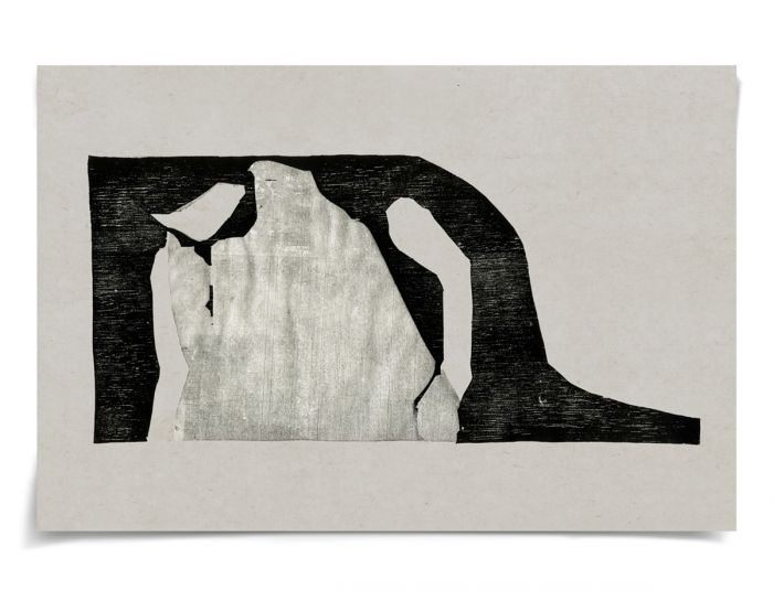 Natural Curiosities Evi Collection Art