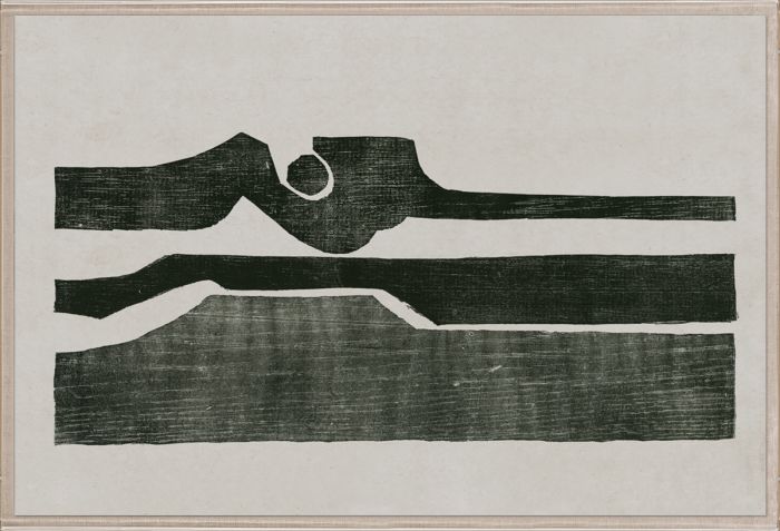 Natural Curiosities Evi Collection Art