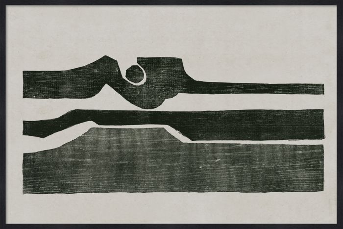 Natural Curiosities The Evi Collection Art