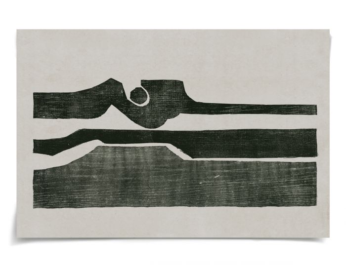 Natural Curiosities Evi Collection Art