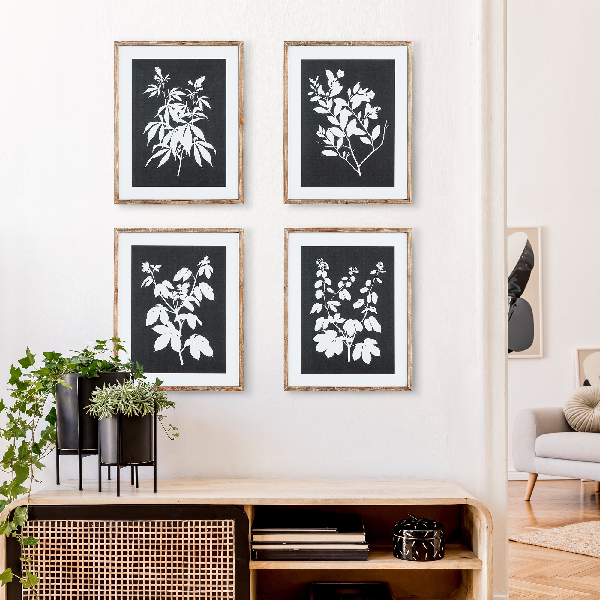 Napa Home And Garden Monochrome Botanical Prints, Set Of 4