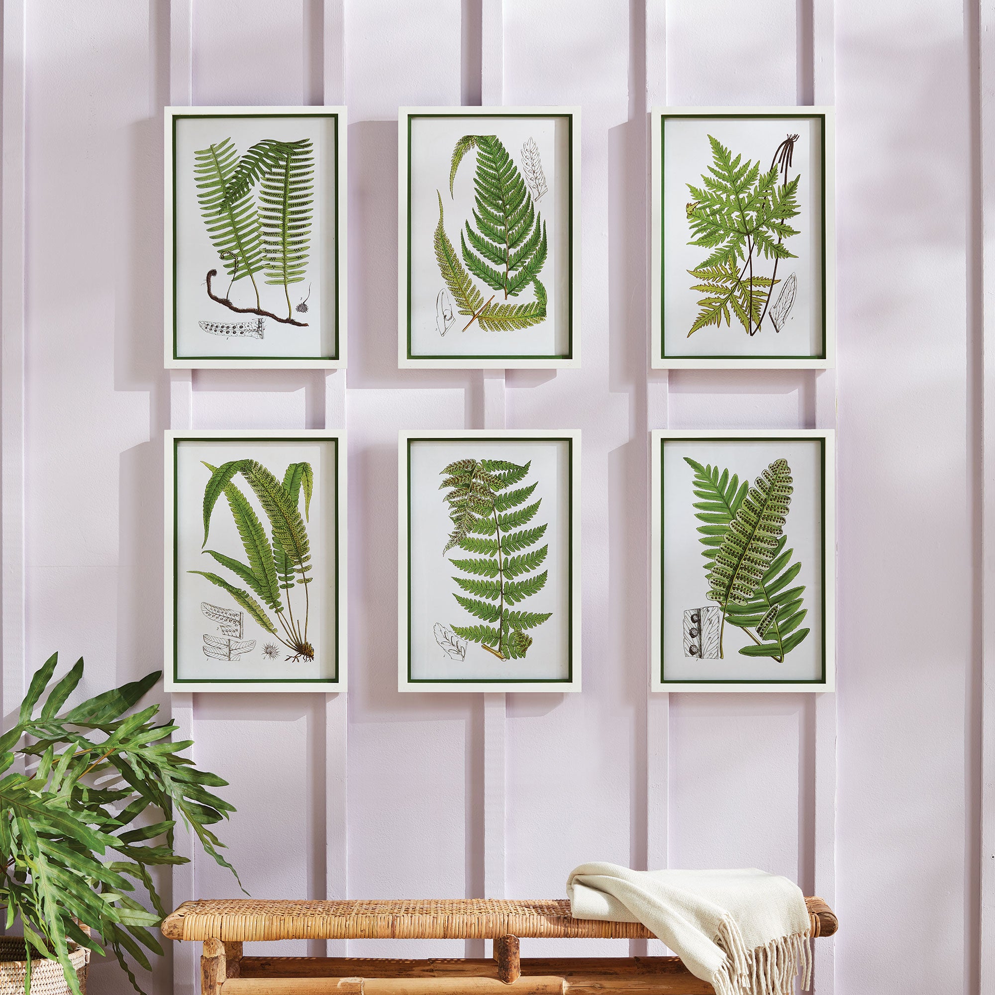 Napa Home And Garden Layered Fern Prints, Set Of 6