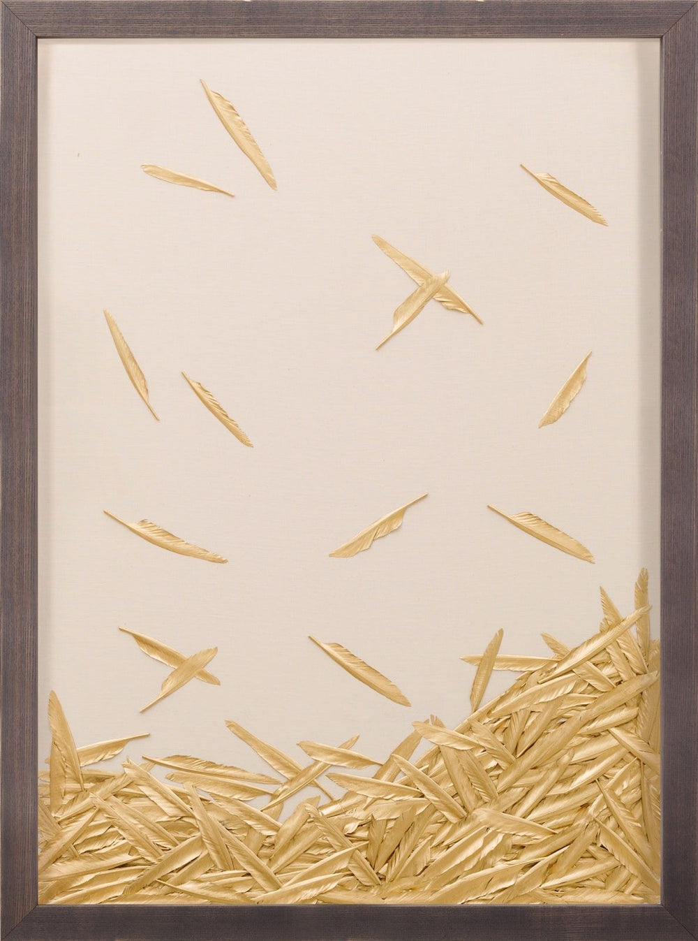 Natural Curiosities Art, Fallen Feathers 1