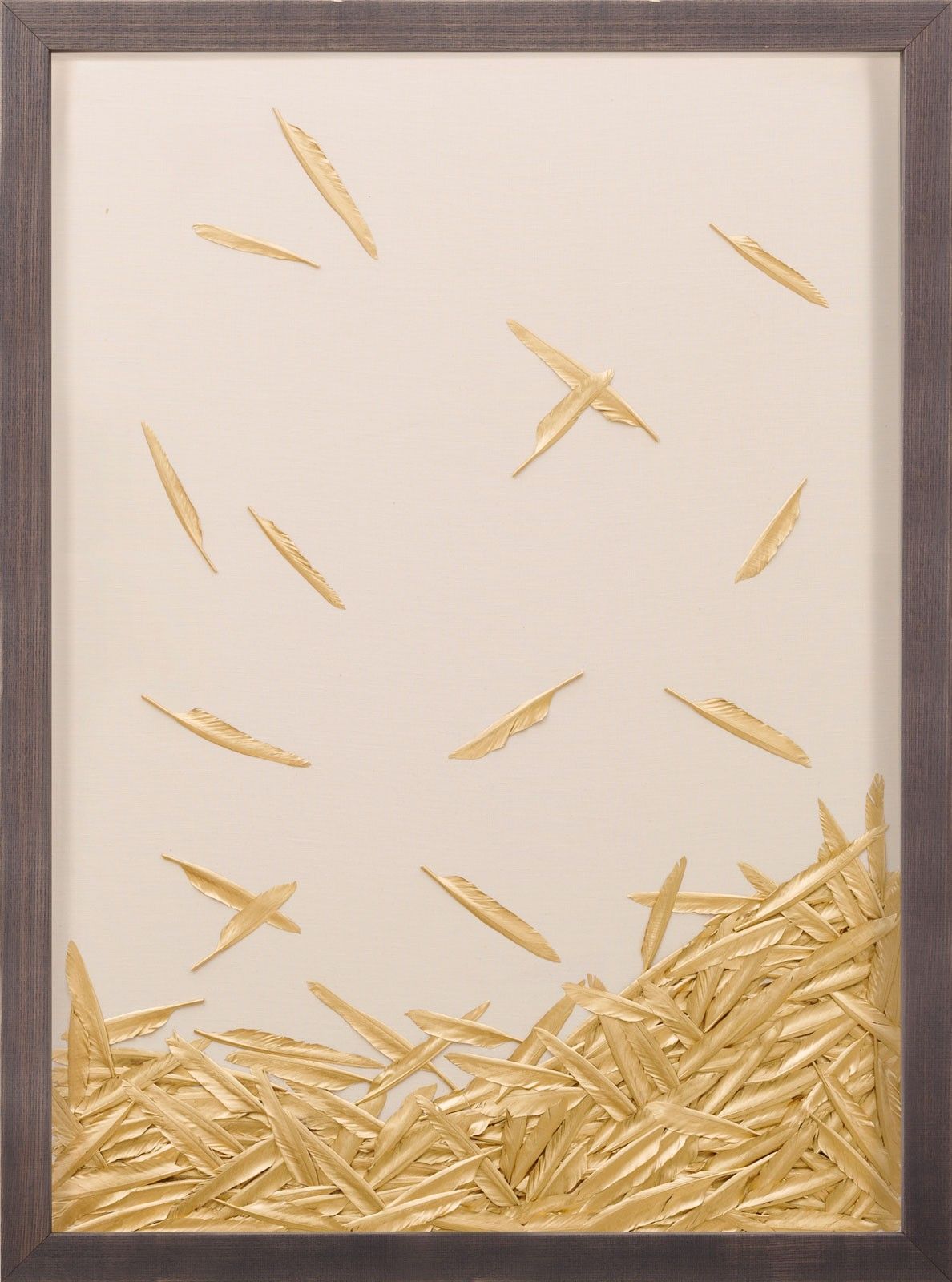 Natural Curiosities Art, Fallen Feathers 1