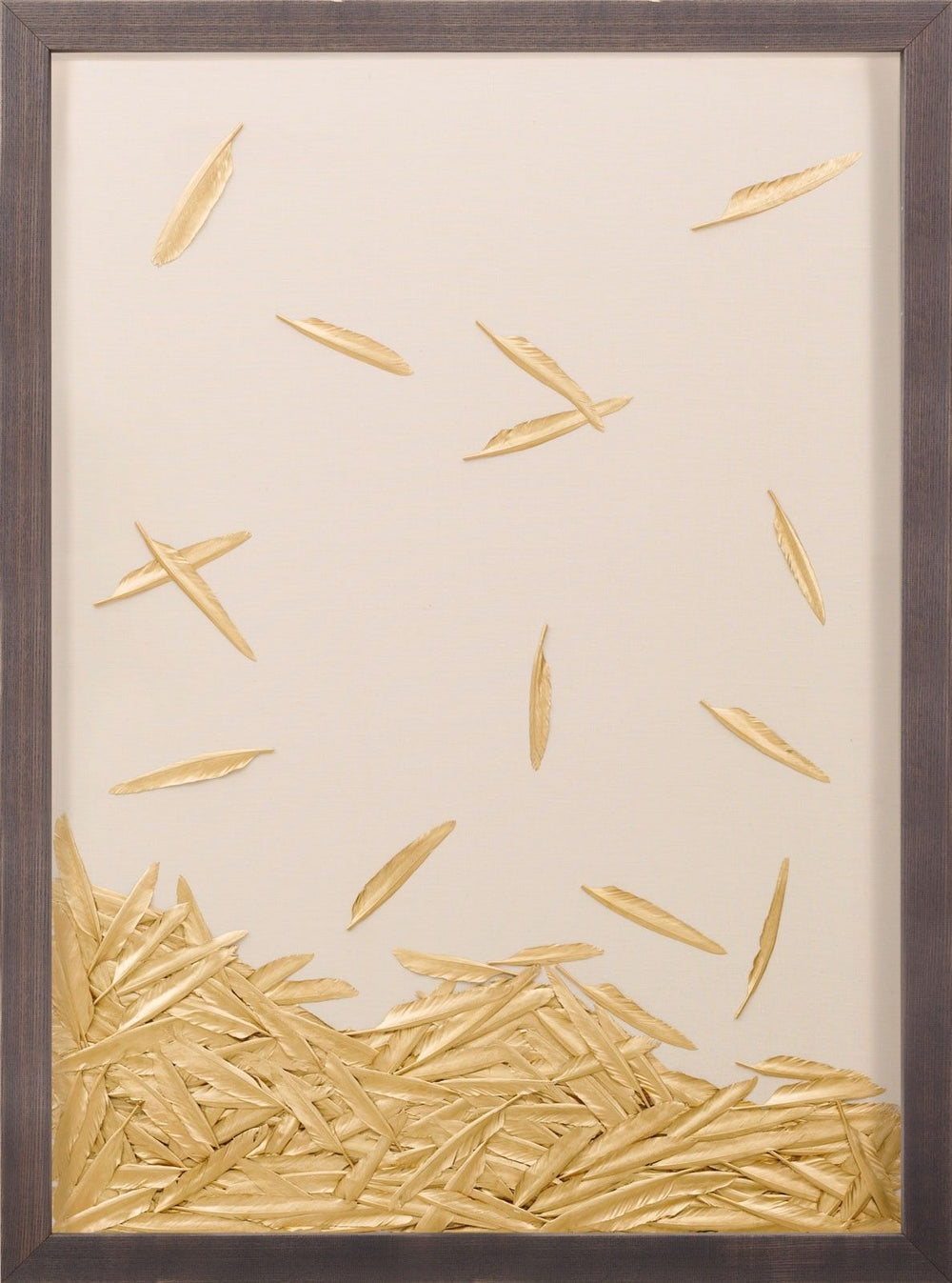 Natural Curiosities Art, Fallen Feathers 2