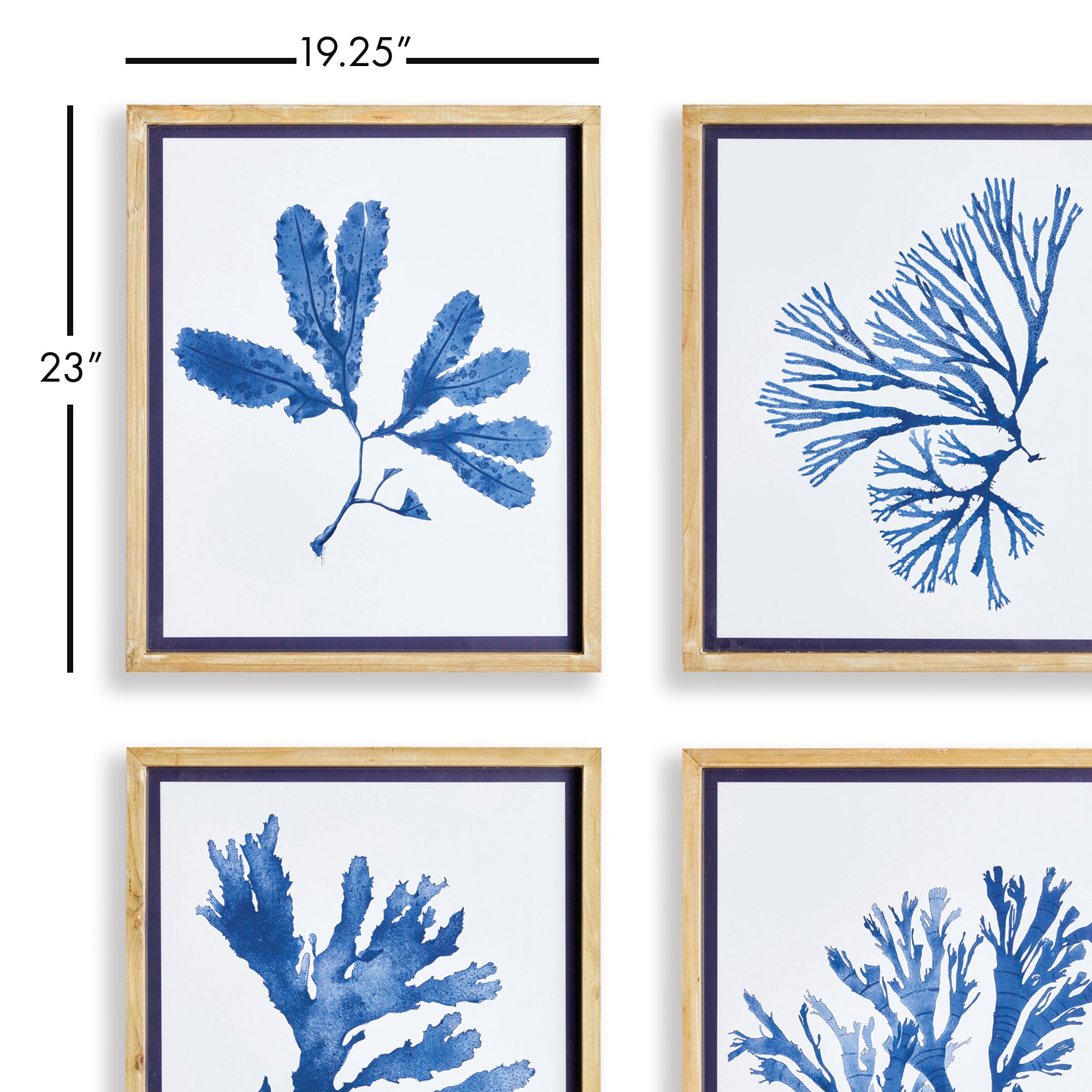 Napa Home And Garden Indigo Seaweed Prints St/4