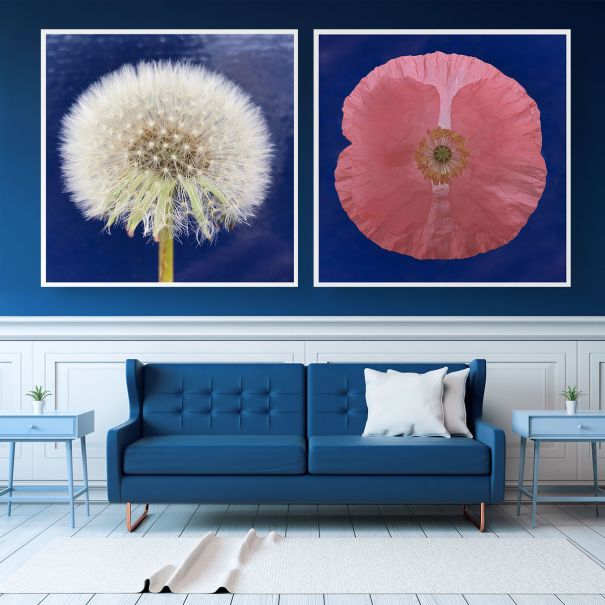 Natural Curiosities Flower Collection No. 2 Art