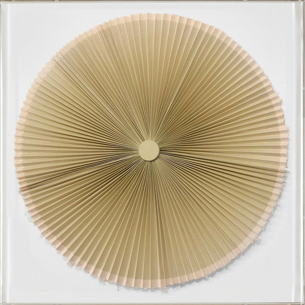 Natural Curiosities Folded Dreams Small