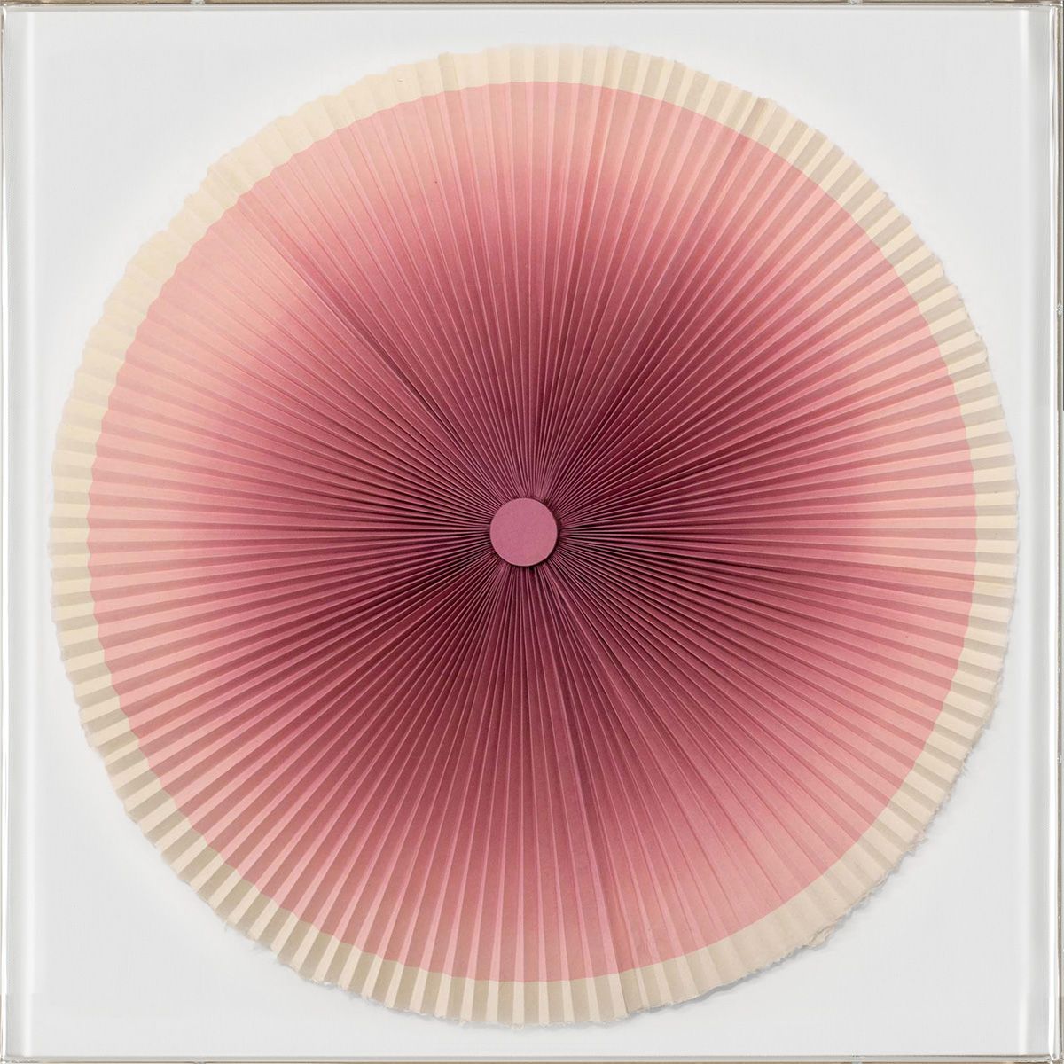 Natural Curiosities Folded Dreams 5, Large