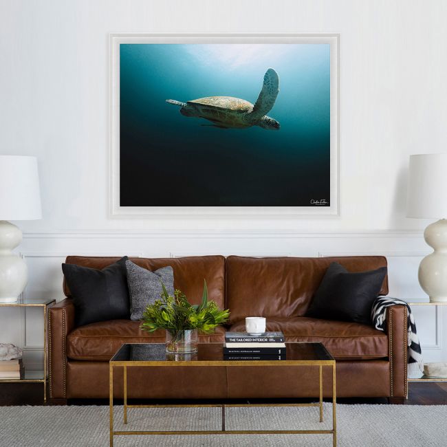 Folden Series 2, Sea Turtle Ocean No. 1 by Natural Curiosities