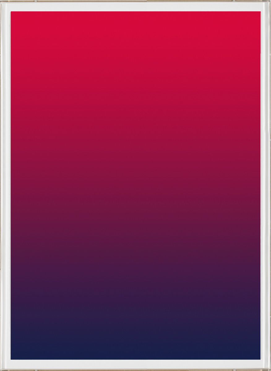 Natural Curiosities Palm Springs Collection Art Prints