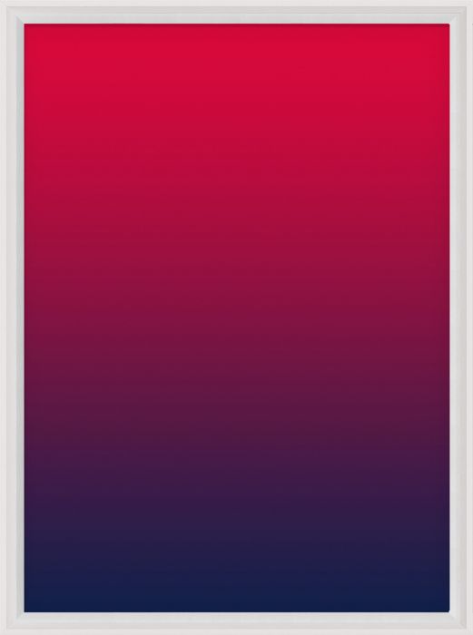 Natural Curiosities Palm Springs Collection Art Prints