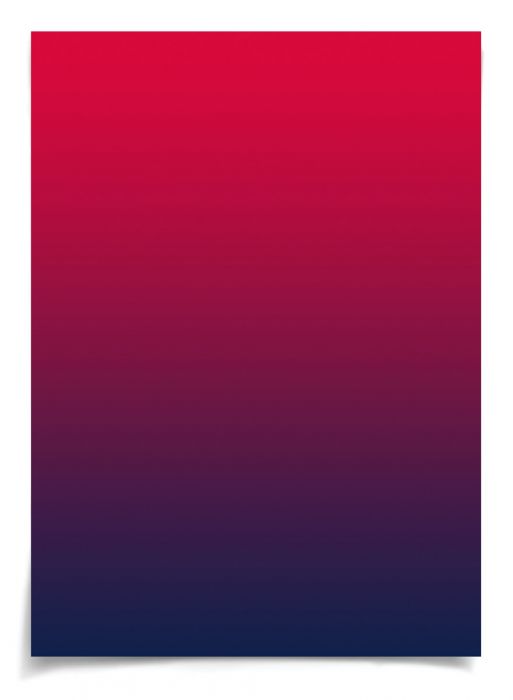 Natural Curiosities Palm Springs Collection Art Prints